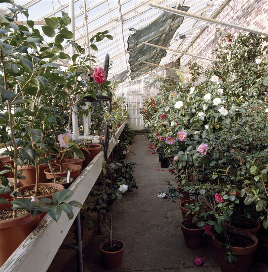 lyman-estate-greenhouse